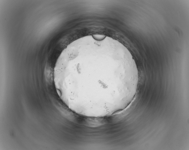 X0000111450191200908031421