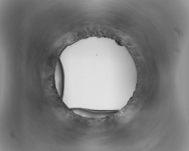 X0000111450192200908031421