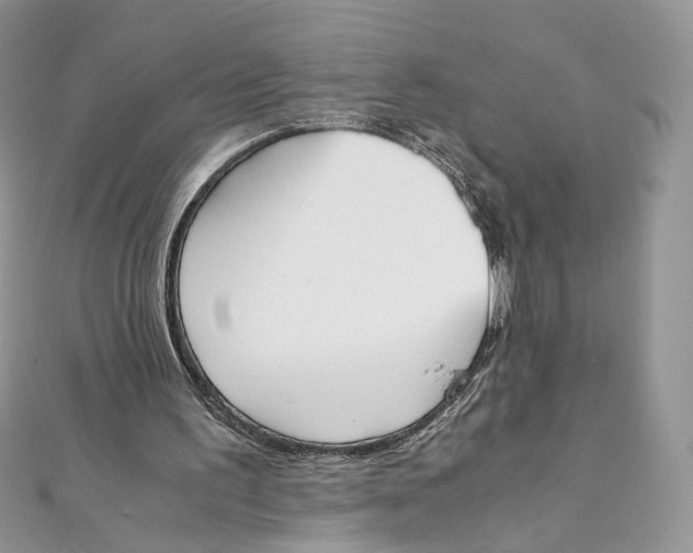 X0000111450195200908031421