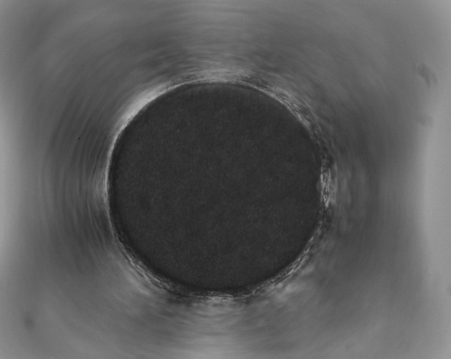 X0000111450196200908031421