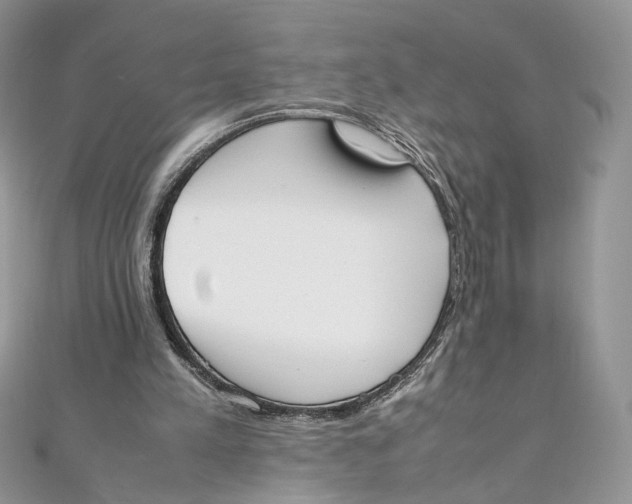 X0000111450197200908031421