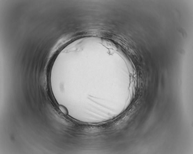 X0000111450198200908031421