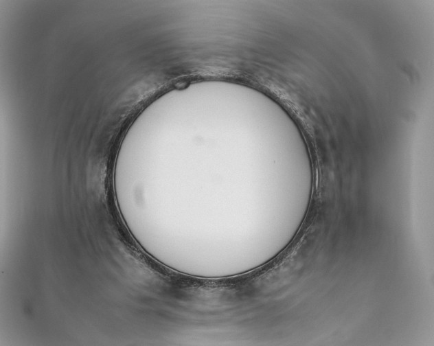 X0000111450201200908031421