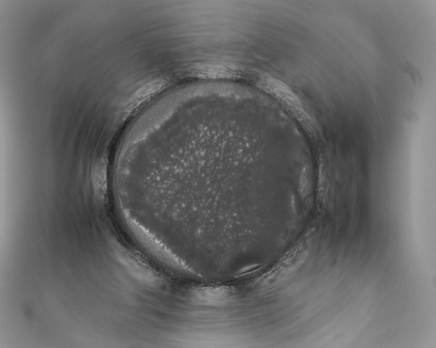 X0000111450202200908031421