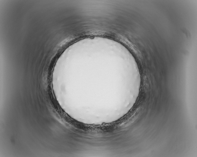 X0000111450203200908031421