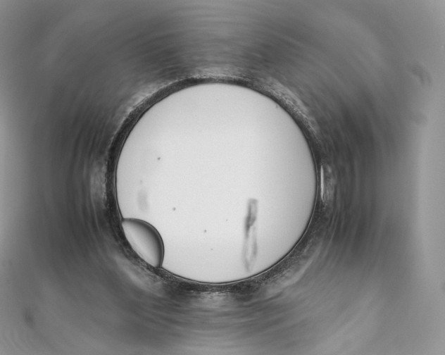 X0000111450204200908031421