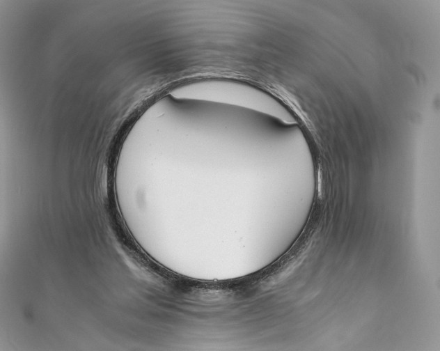 X0000111450205200908031420