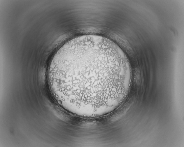 X0000111450206200908031420