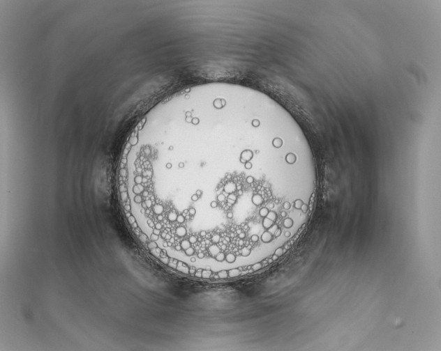 X0000111450210200908031420