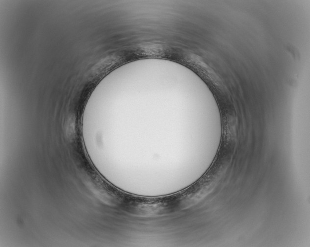 X0000111450213200908031420