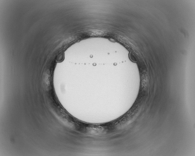 X0000111450215200908031420
