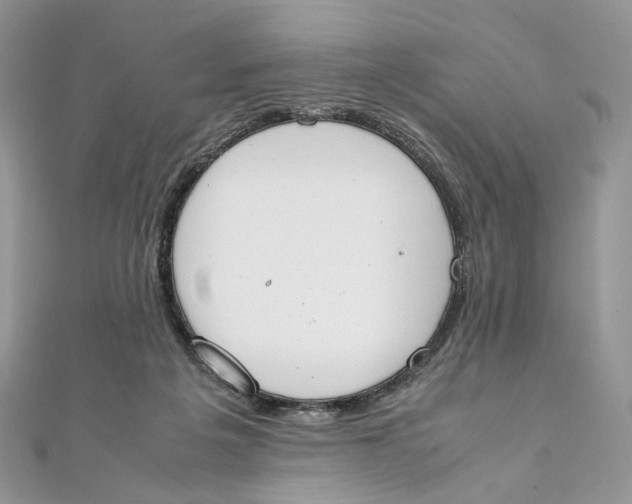 X0000111450217200908031420
