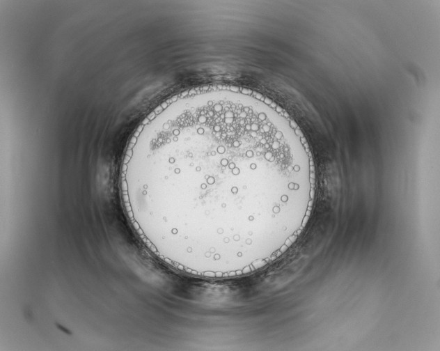 X0000111450218200908031420