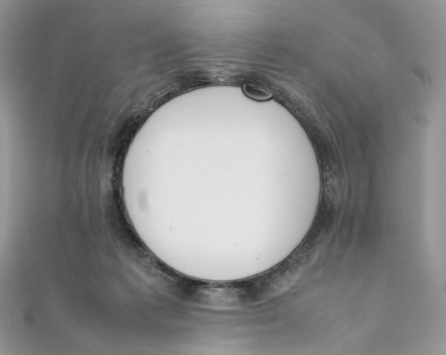 X0000111450221200908031420