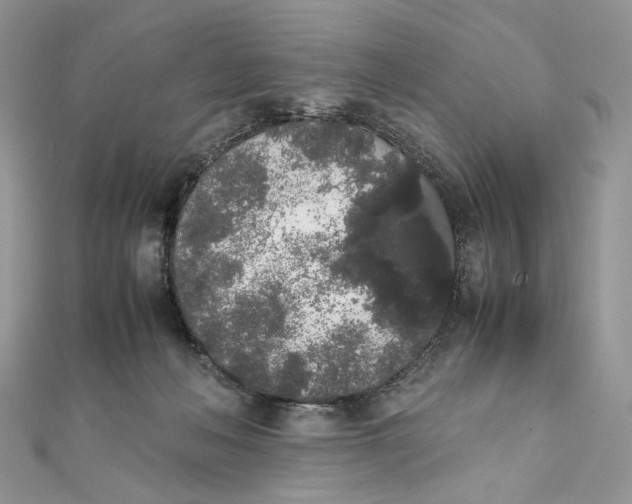 X0000111450222200908031420