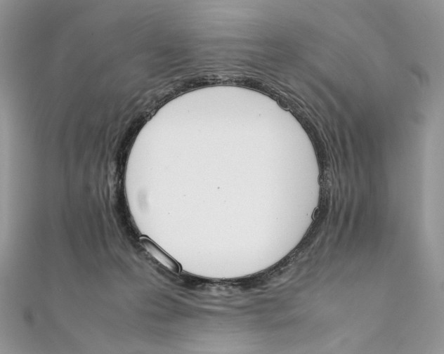 X0000111450223200908031420