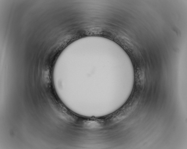 X0000111450224200908031420