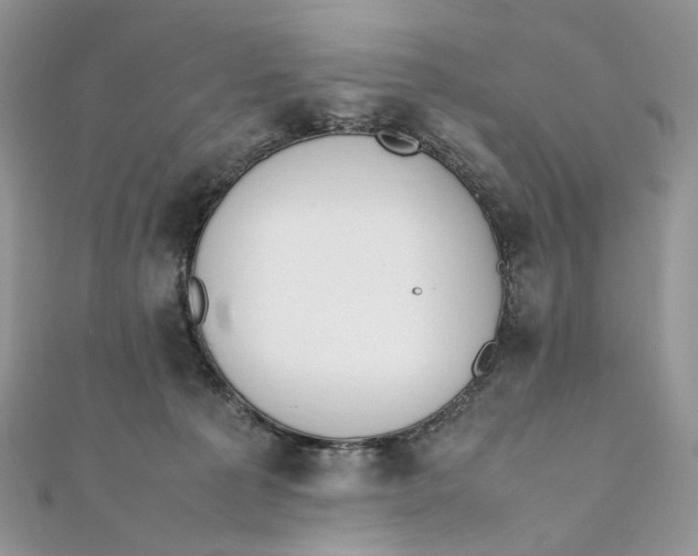 X0000111450225200908031420