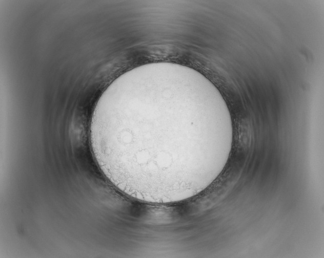 X0000111450226200908031420