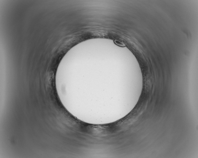 X0000111450229200908031420