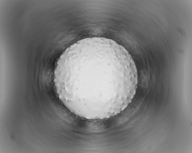 X0000111450230200908031420
