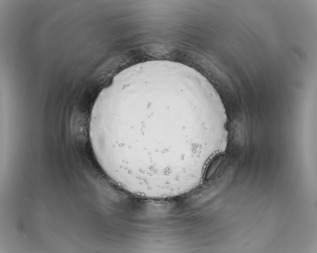 X0000111450234200908031420