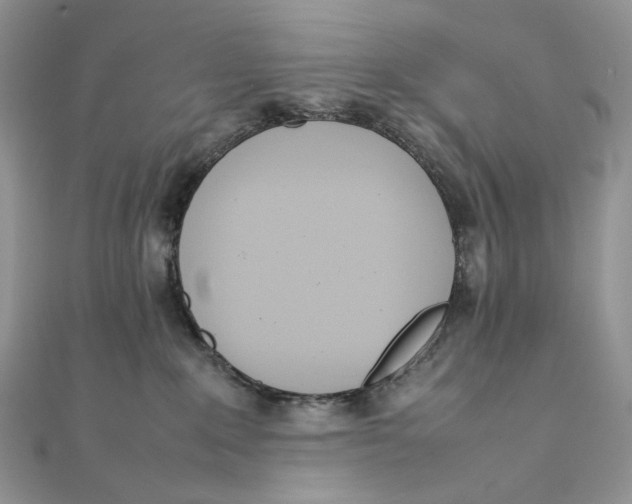 X0000111450235200908031420