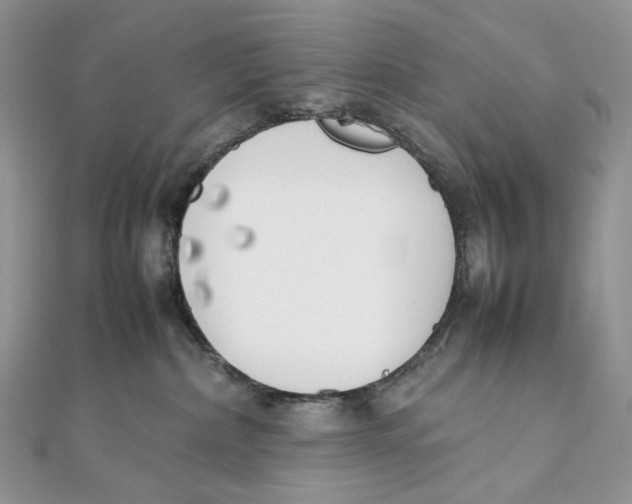 X0000111450236200908031420