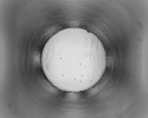 X0000111450238200908031420