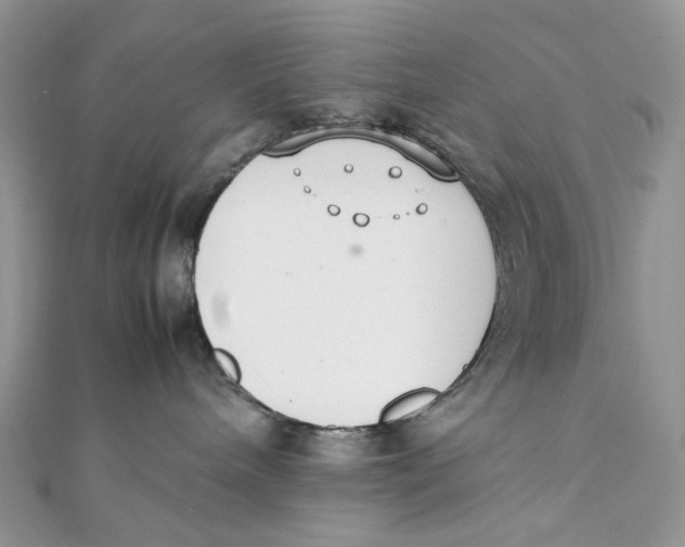 X0000111450240200908031420