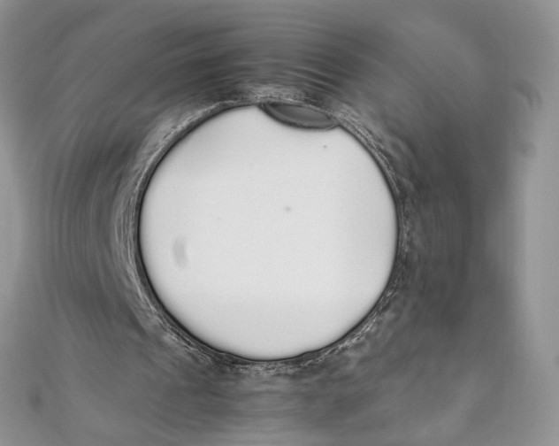 X0000111450241200908031419