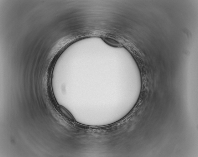 X0000111450242200908031419