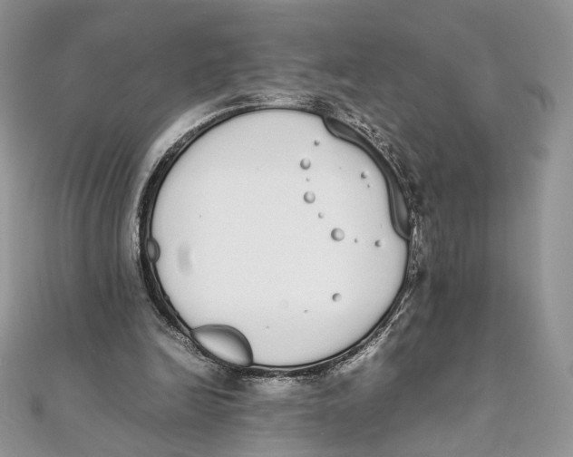 X0000111450246200908031419
