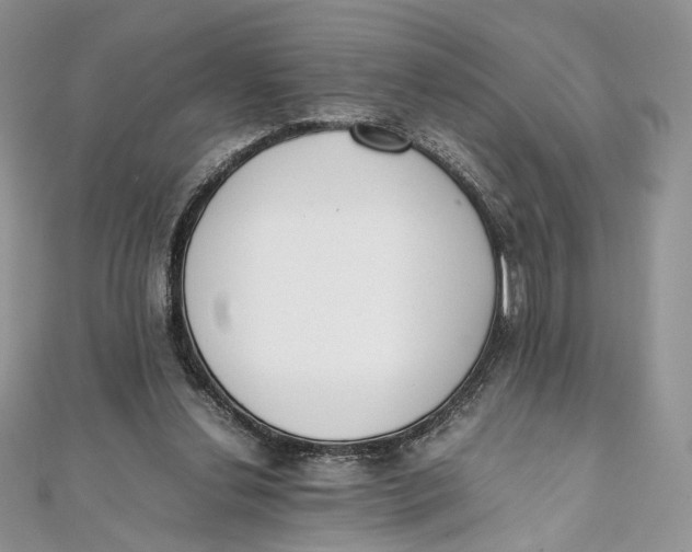 X0000111450252200908031420