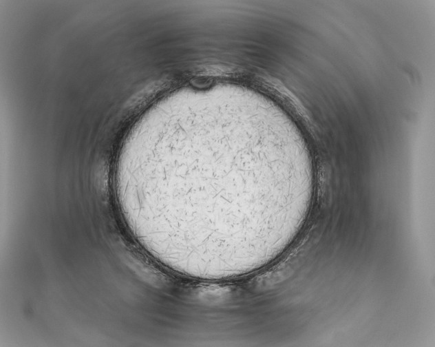 X0000111450257200908031420