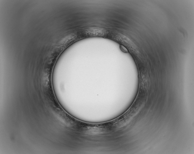 X0000111450259200908031420