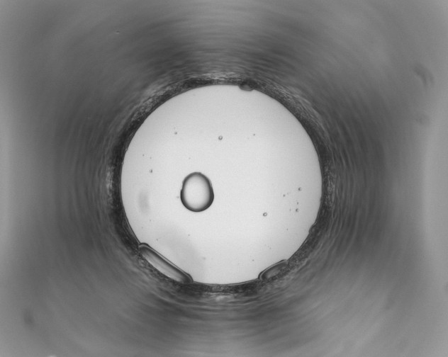 X0000111450260200908031420