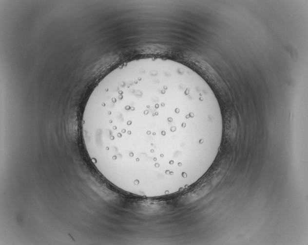 X0000111450261200908031420