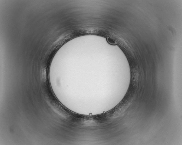 X0000111450262200908031420