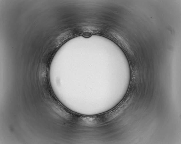 X0000111450265200908031420