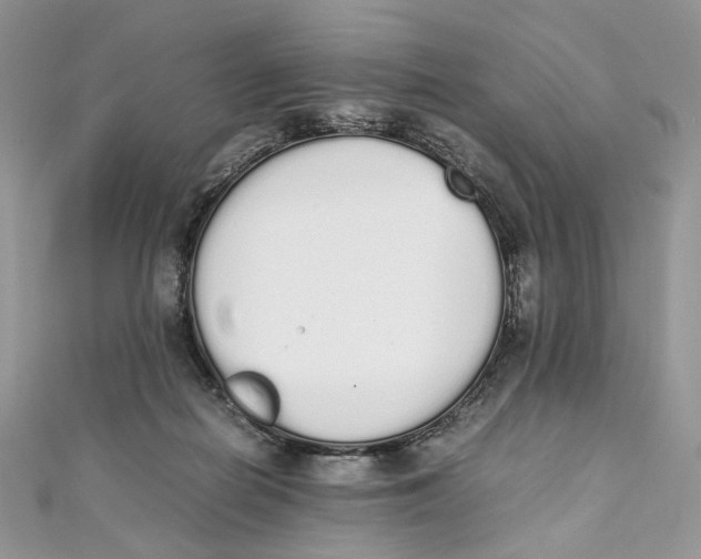 X0000111450266200908031420