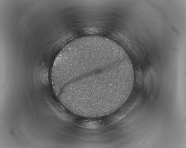 X0000111450267200908031420