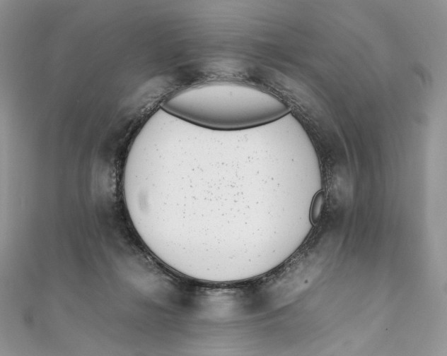 X0000111450268200908031420