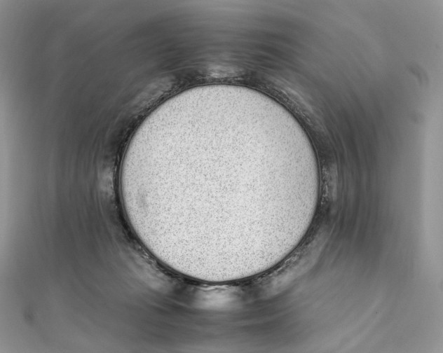 X0000111450269200908031420