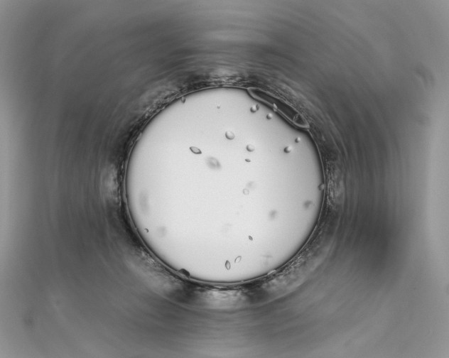 X0000111450270200908031420
