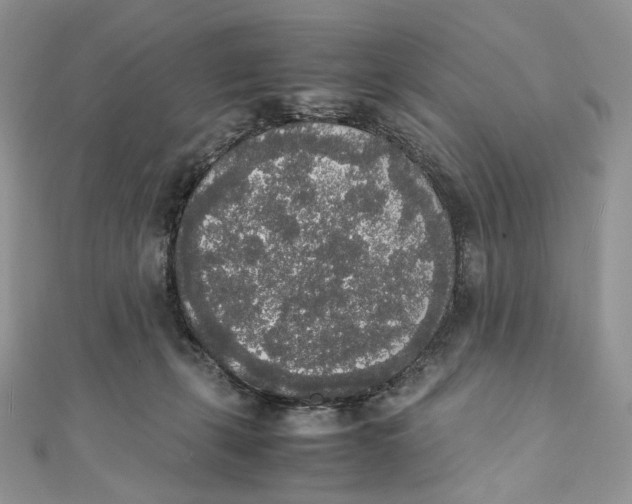 X0000111450271200908031420