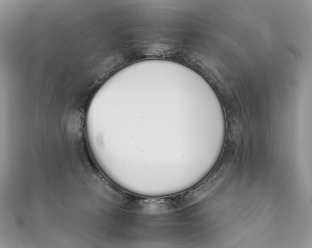 X0000111450273200908031420