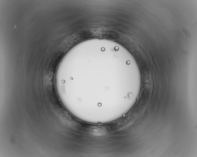 X0000111450275200908031420