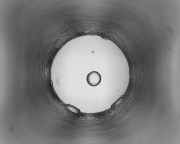X0000111450276200908031420