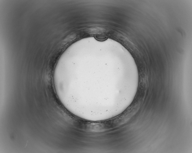 X0000111450277200908031420